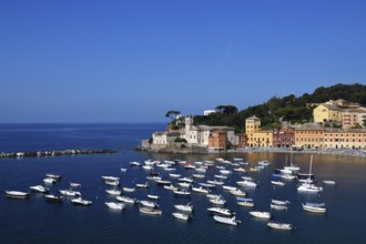 View of the Bay of Silence in Sestri Levante, Ligurian sea, Liguria, Italy, Europe