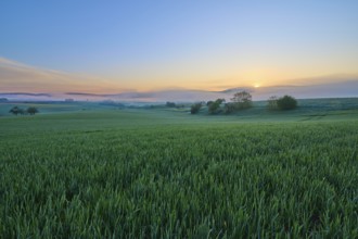 A picturesque sunrise over a wide green field and a gentle hilly landscape, Mönchberg, Mltenberg,