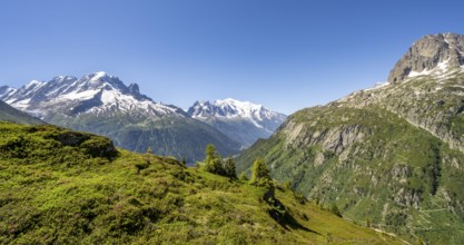 Mountain panorama with glaciated mountain peaks, Aiguille Verte with Aiguille du Midi and Mont