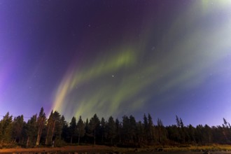 Northern lights, (Aurora borealis) at a lake near Kiruna, September 2024, Lapland, Sweden, Europe
