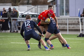 Rugby: Germany against MKS Pogon Awenta Siedlce, Poland in Heidelberg (test match of the German