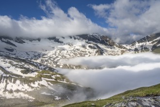 Two sheep on a mountain meadow in front of a mountain landscape, high fog in the valley, behind