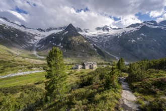 Mountain landscape with hiking trail and alpine roses, mountain hut Berliner Hütte, mountain peak