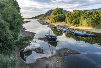 The Rhine at extremely low water, near Bad Honnef Rhöndorf, below the Drachenfels, the historic