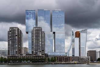 Rotterdam, skyline at the Nieuwe Maas, Erasmus Bridge, skyscrapers at the Kop van Zuid district,