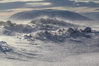 Solidified lava and stones in a snowstorm, windy, sunny, backlight, Myvatn, Iceland, Europe