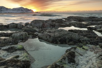 Sunset in winter at Skagsanden, rocks on the beach at Flakstad, Flakstadøy, Lofoten, Nordland,