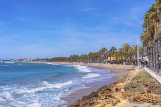 Scenic view of the cami de ronda coastal path with palm trees, beach, and turquoise mediterranean