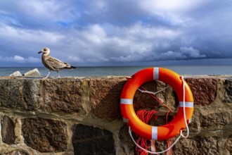 The city harbour of Sassnitz, island of Rügen, pier, harbour dam, dark rain clouds, lifebuoy,