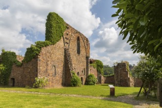 Holy Cross monastery ruins, Meissen, Saxony, Germany, Europe
