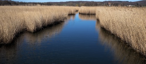 Landscape at Lake Neuensien on the island of Rügen, Mecklenburg-Western Pomerania, Germany, Europe