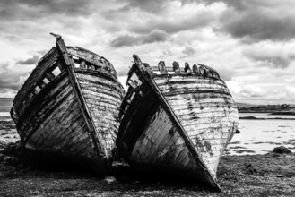 Ships wrecks in Black and White, Salens, Isle of Mull, Scottish Inner Hebrides, Scotland, UK