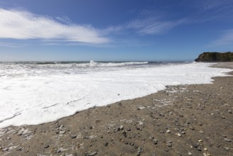 Ship Creek, Strand, Neuseeland