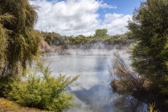 Geothermal, Park, Rotorua, New Zealand, Oceania