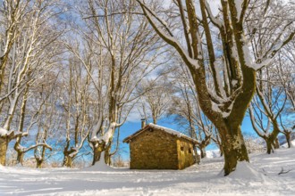 Beautiful refuge among giant trees in the Oianleku natural park in the town of Oiartzun next to