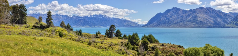 Lake Hawea, Otago, New Zealand, Oceania