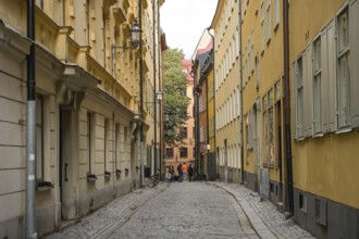 Passers-by, tourists, Själagardsgatan, alley, Old Town, Gamla Stan, Stockholm, Sweden, Europe