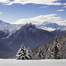 Snow covered spruce trees and Alpine mountains in winter in the Swiss Alps at Wallis, Valais,