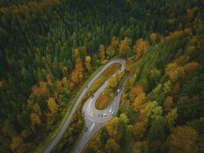 S-bend in the deep autumn forest, Hirsau, Calw, Black Forest, Germany, Europe
