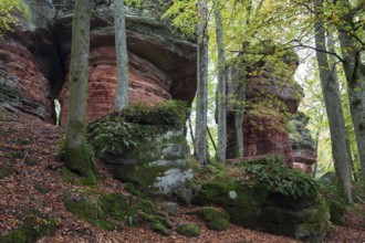 Old castle rock, red sandstone rock formation, natural and cultural monument, Brechenberg near