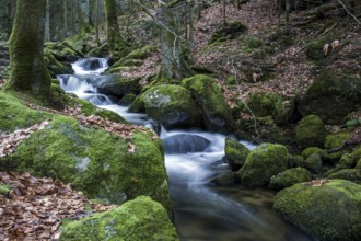 Gertelbach, Gertelbach Waterfalls, Gertelbach Falls, Gertelbach Gorge, Bühl, Bühlertal, Northern