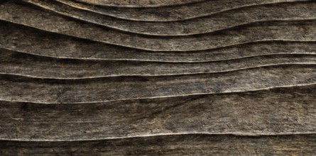 Structure on an old weathered wooden board, Abstract background, Graphic elements, Texture