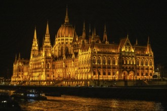 Parliament by night, Budapest, Hungary, Europe