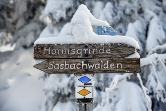 Snowy signpost near the Hornisgrinde, near Sasbach, Ortenaukreis, Black Forest, Baden-Württemberg,
