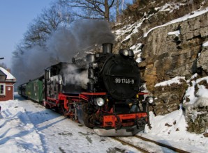 Little railway in Seifersdorf