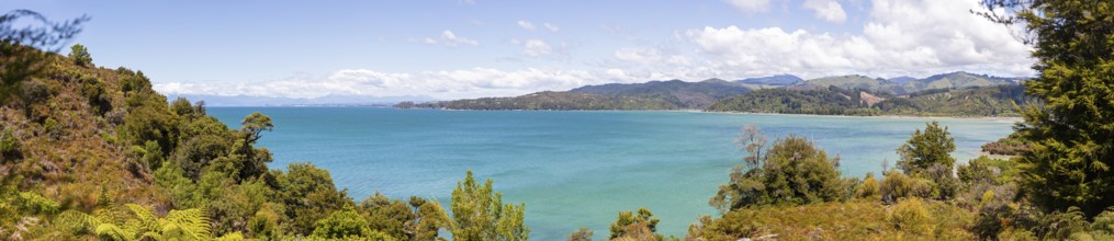 Abel Tasman Coast Track, Gilbert-Point, Kaiteriteri, New Zealand, Oceania