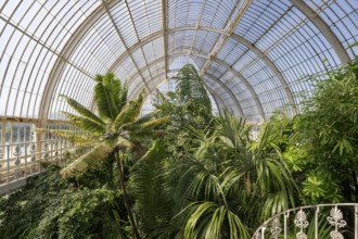 Palm House, oldest Victorian greenhouse in the world, Royal Botanic Gardens, Kew, London, England,