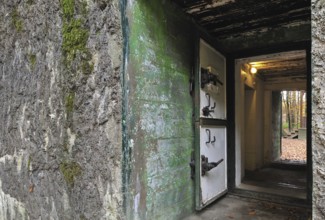 Wolfsschlucht I, Grand Quartier Général Allemand 1940, open air museum with Adolf Hitler's bunker