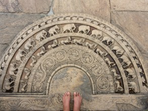 Floor relief with elephants, Polonnaruwa, Sri Lanka, Asia
