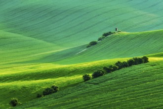 Rural Europe background, Moravian rolling landscape with hunting tower shack on sunset. Moravia,