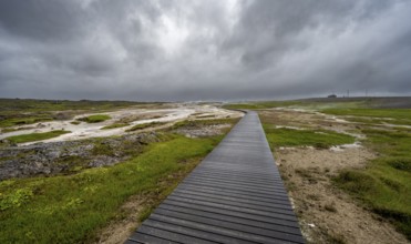 Wooden path between hot springs, Hveravellir geothermal area, Icelandic Highlands, Suðurland,