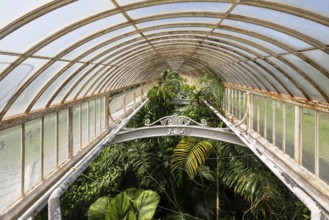 Tropical rainforest, Palm House, oldest Victorian greenhouse in the world, Royal Botanic Gardens,