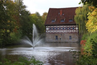 Remains of Rosenau Castle, from 1435, also called Rosenau Castle, of the mint masters Heinz and