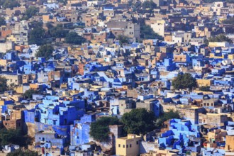 Aerial view of Jodhpur, also known as Blue City due to the vivid blue-painted Brahmin houses around