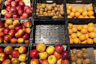Fruit counter in a supermarket or organic food shop, here with different types of apples, kiwis,