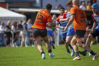 Rugby 1st Bundesliga South/West, Season 2024/25, Matchday 10: RG Heidelberg vs Heidelberger