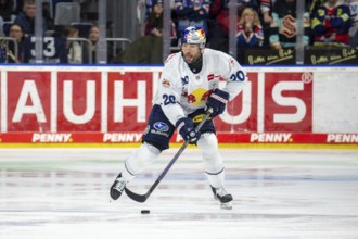 DEL, German Ice Hockey League season 2024/25, Matchday 22: Adler Mannheim vs Red Bull Munich.