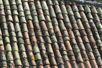 Close-up view of terracotta roof tiles showcasing unique textures and colors. The surface exhibits