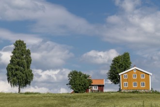 Falun red and Swedish yellow wooden house, meadow, trees, blue sky, clouds, at Lake Mjosa near