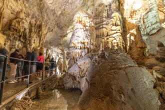 Tourists observing the magnificent stalactites and stalagmites formations inside postojna cave, a