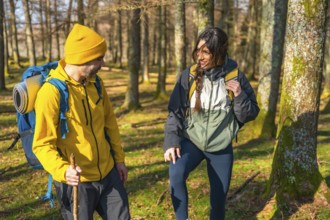 Hikers with backpacks enjoying a sunny day in the forest, chatting and laughing as they explore the