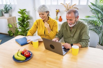 Happy senior couple working on personal financial bills at home using laptop sitting on the living