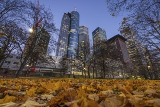 The lights in the offices of Frankfurt's banking skyline begin to glow in the evening. Frankfurt am