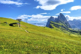 Lush green meadow covered in yellow wildflowers with ski lifts and the majestic peaks of the odle