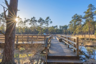 View along a moor bridge in the moor adventure trail, Sonnenstrahl, Otternhagener Moor, Resse,