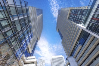 Toronto condominiums in a trendy middle and upper class district near Yonge and Eglinton midtown